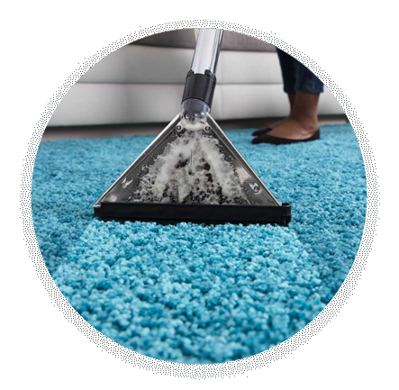 Shine plus takes cleaning to the next level with our expert attention to detail and services that make sure your carpet and upholstery are as clean as can be.