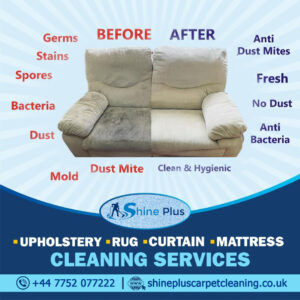 Shine plus takes cleaning to the next level with our expert attention to detail and services that make sure your carpet and upholstery are as clean as can be.