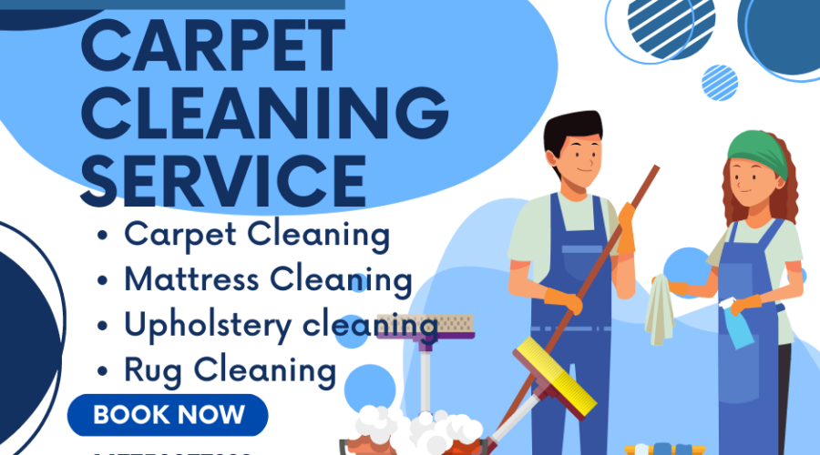 best carpet cleaning by shine plus
