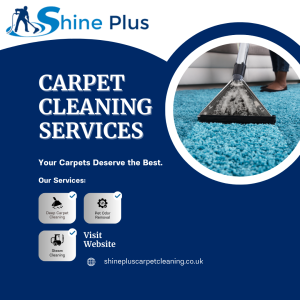 Carpet Cleaning Frequency Guide
