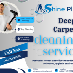 professional carpet cleaners in Harrow