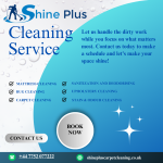 Carpet Cleaning Services in Harrow