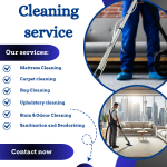 professional carpet cleaners in Harrow