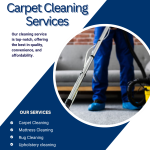 Carpet Cleaning in Harrow